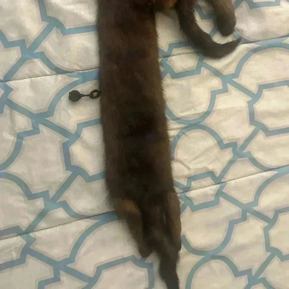 VINTAGE JOSEPH HORNE ACTUAL BODY 3 MINK STOLE - Picture 5 of 9